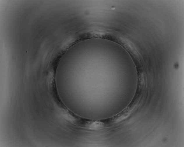 X0000101090463200807031730