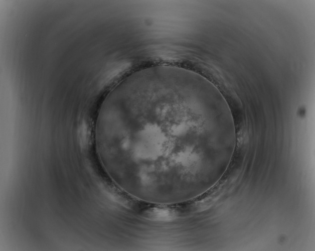 X0000101090464200807031730