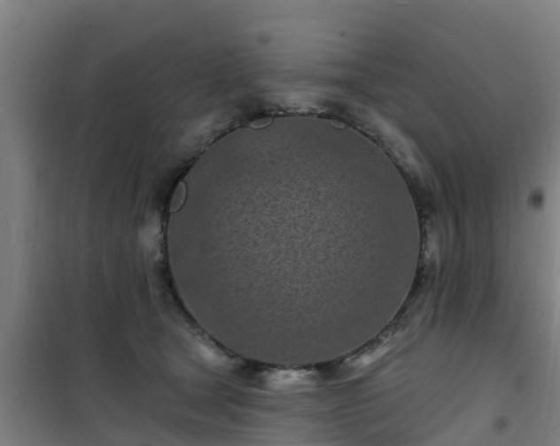 X0000101090465200807031730