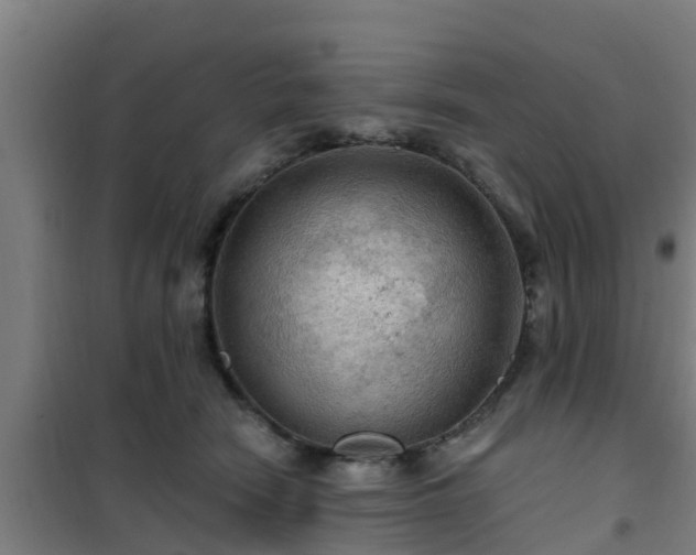 X0000101090466200807031730