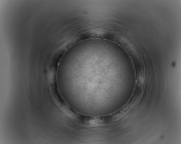 X0000101090468200807031730