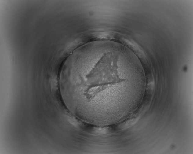 X0000101090469200807031730