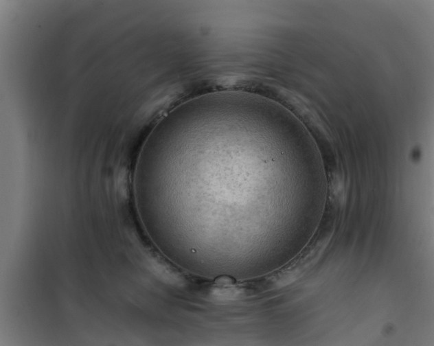 X0000101090470200807031730