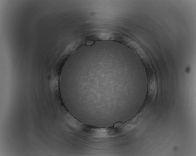 X0000101090473200807031730