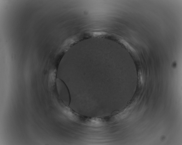 X0000101090475200807031730