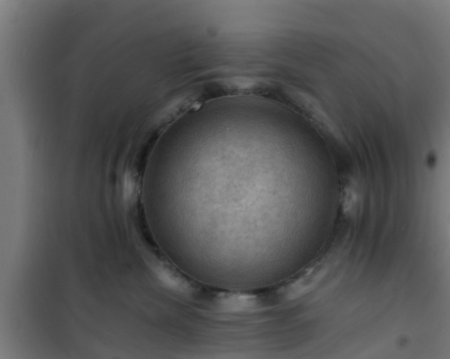 X0000101090476200807031730