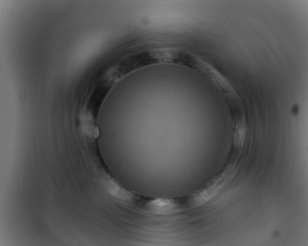 X0000101090477200807031730