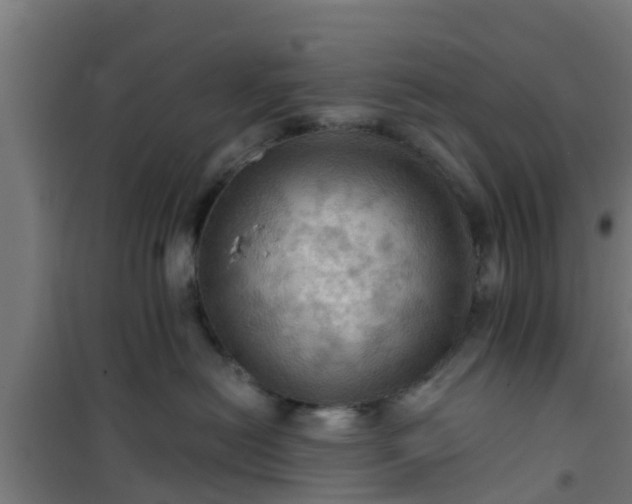 X0000101090478200807031730