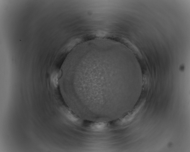 X0000101090479200807031730