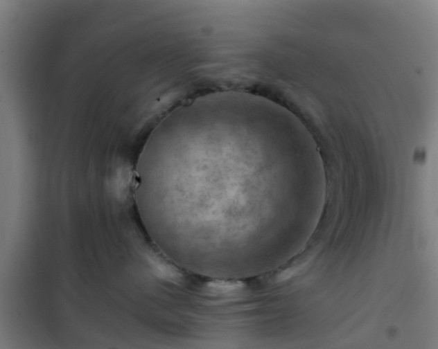 X0000101090480200807031730