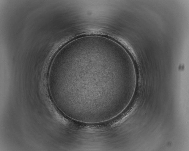 X0000101090481200807031730