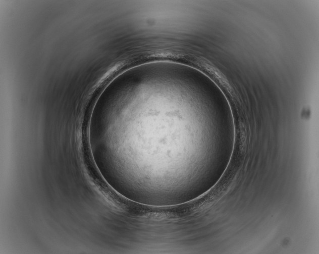 X0000101090482200807031730