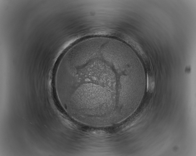 X0000101090483200807031730