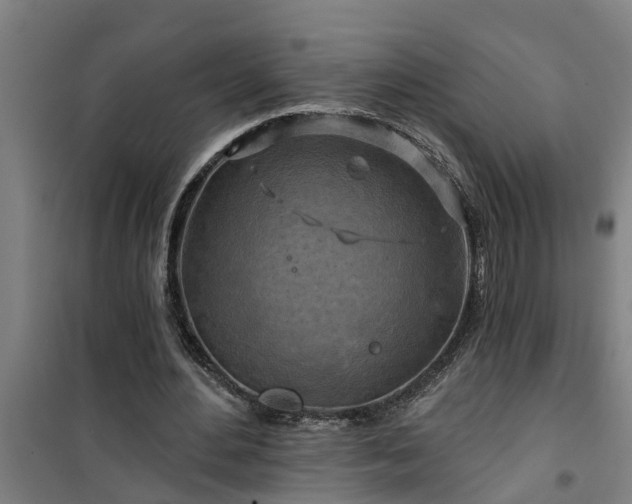 X0000101090484200807031730