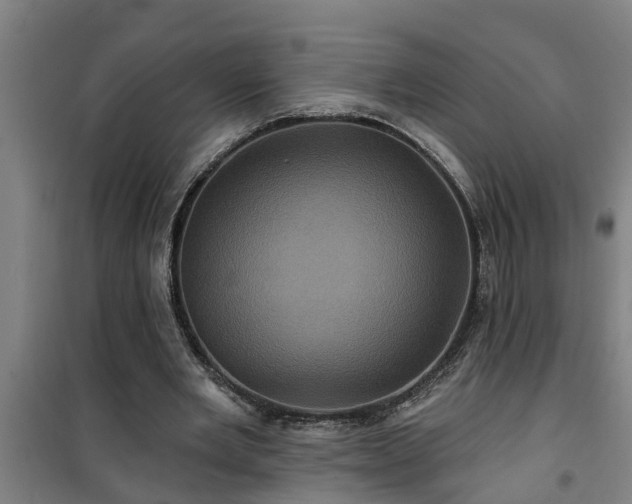 X0000101090485200807031730