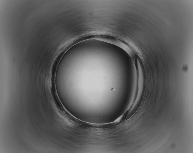 X0000101090486200807031730