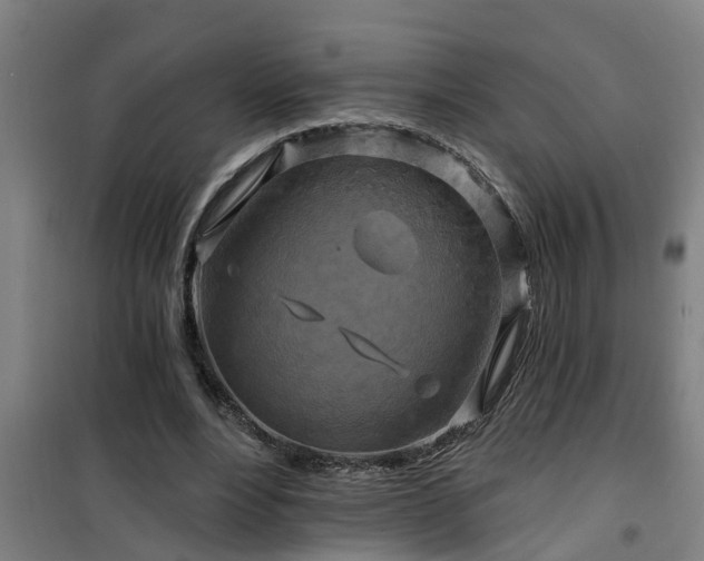 X0000101090488200807031730