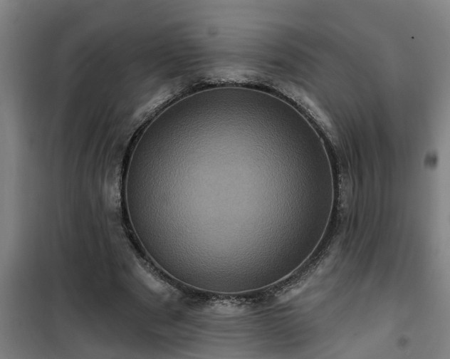 X0000101090489200807031730