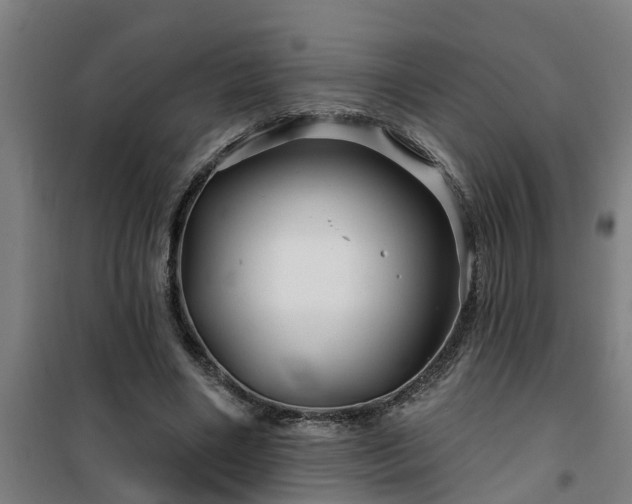 X0000101090490200807031730