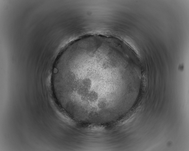 X0000101090491200807031730