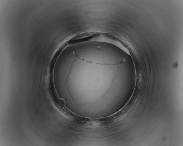 X0000101090492200807031730