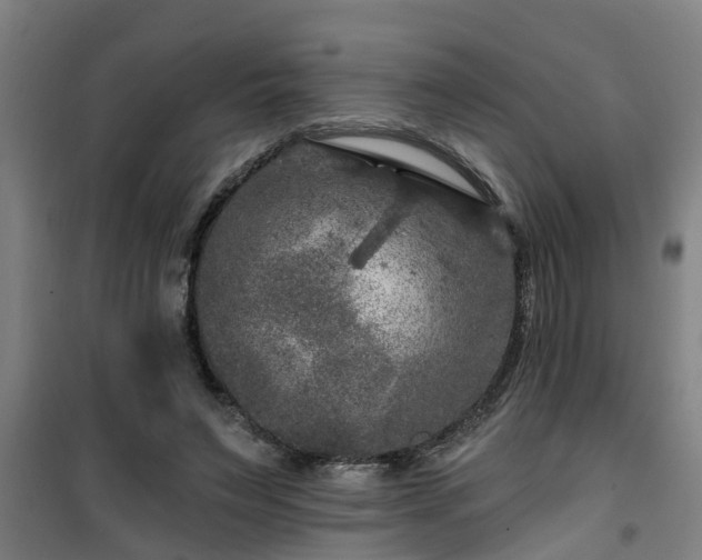 X0000101090495200807031729