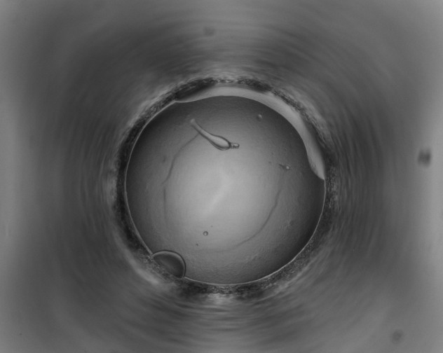 X0000101090496200807031729