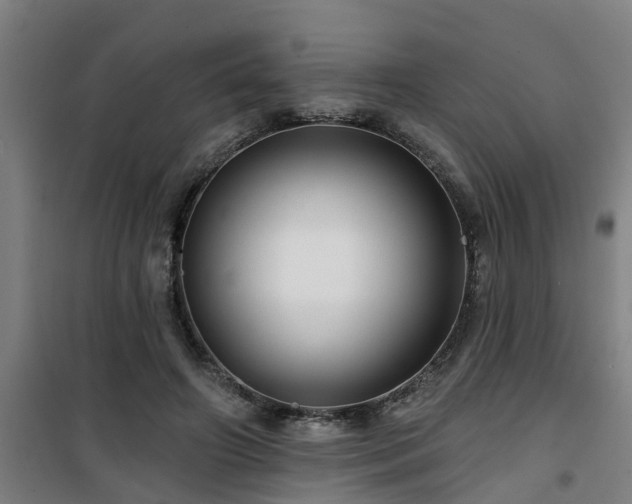 X0000101090498200807031729