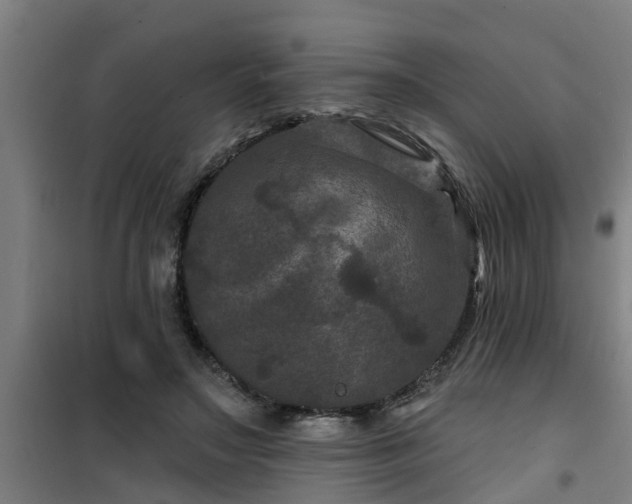 X0000101090499200807031729