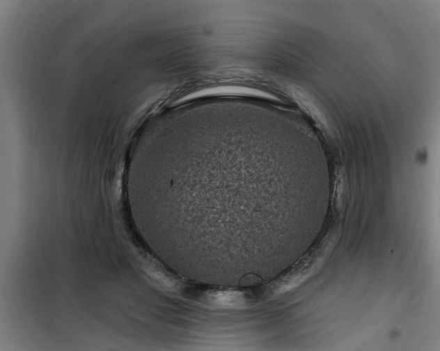 X0000101090501200807031729