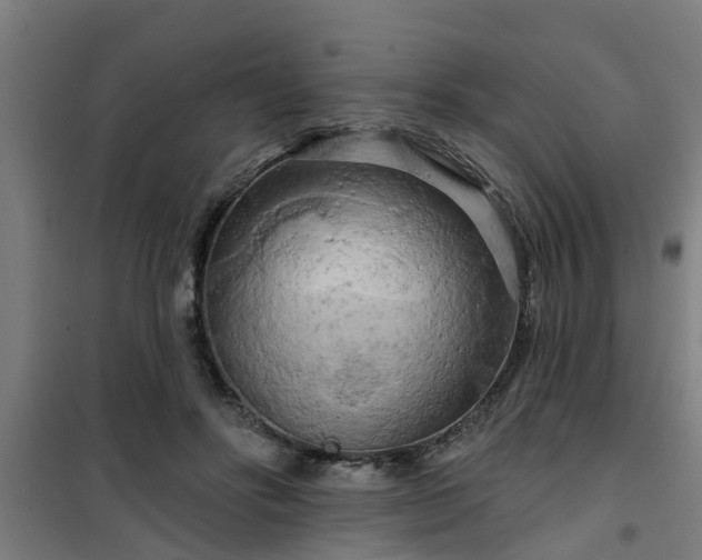 X0000101090502200807031729