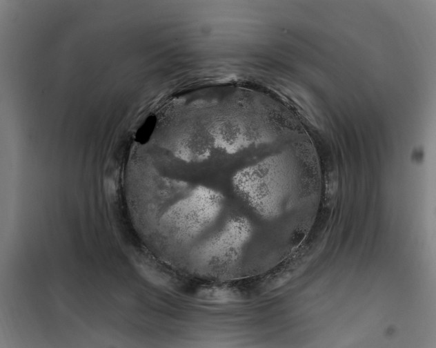 X0000101090503200807031729