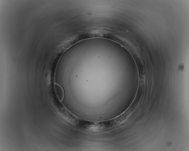 X0000101090504200807031729