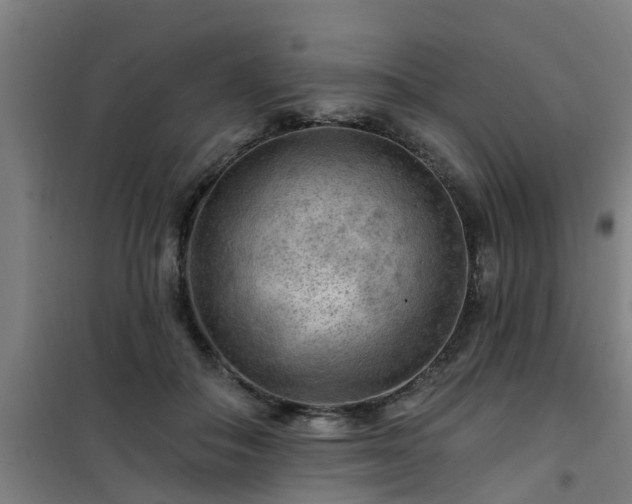 X0000101090506200807031729