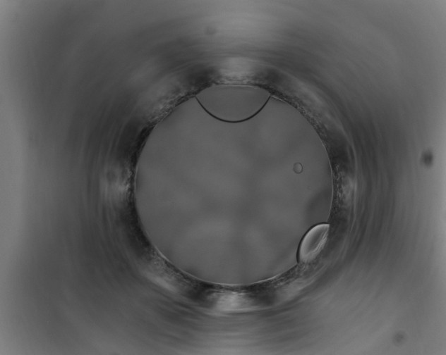 X0000101090507200807031729