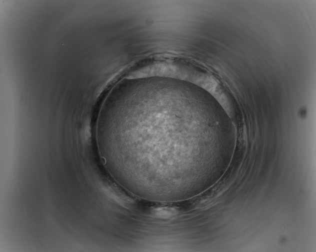 X0000101090508200807031729