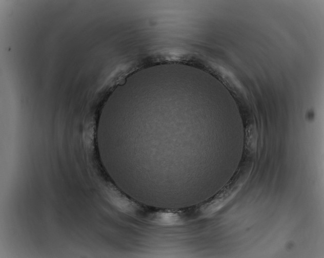 X0000101090509200807031729