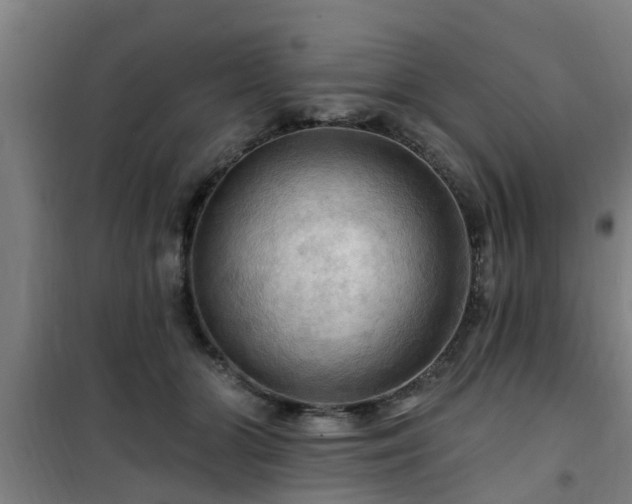 X0000101090510200807031729