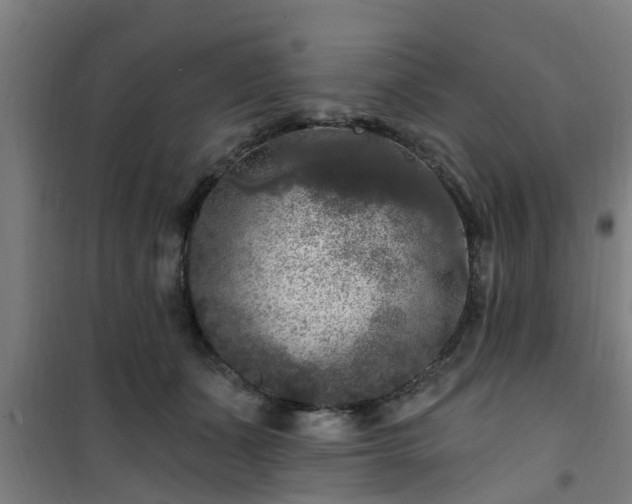 X0000101090511200807031729