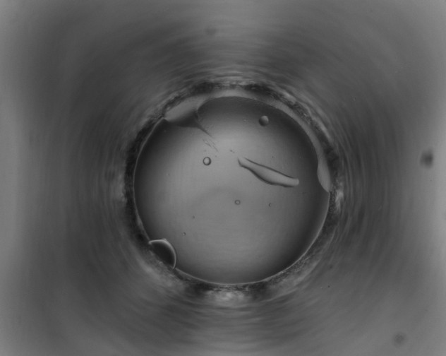 X0000101090512200807031729