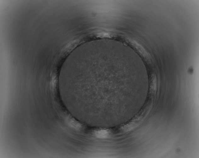 X0000101090513200807031729