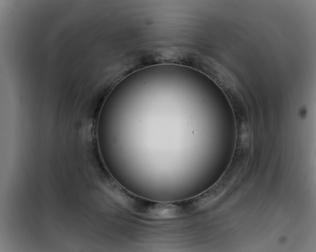 X0000101090514200807031729