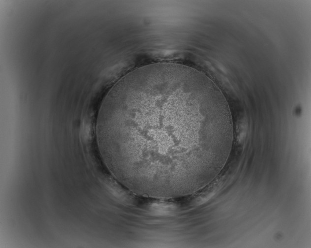 X0000101090515200807031729