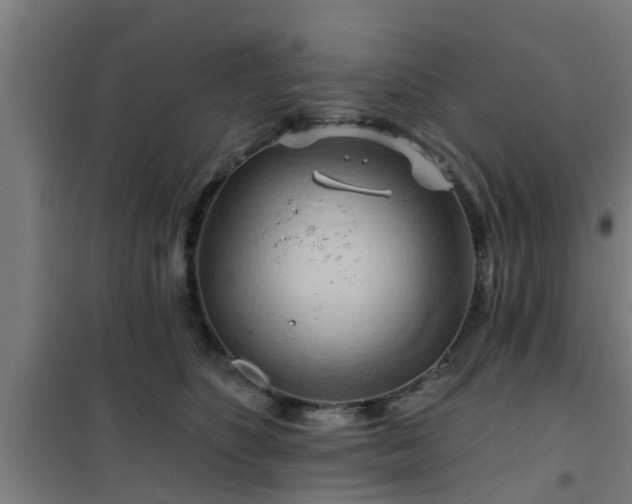 X0000101090516200807031729