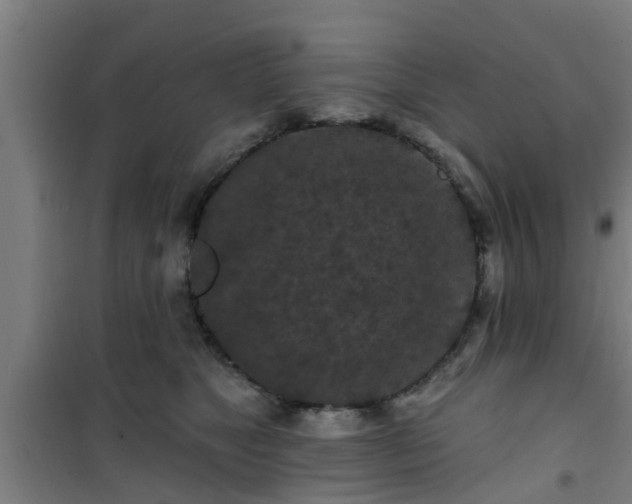 X0000101090517200807031729