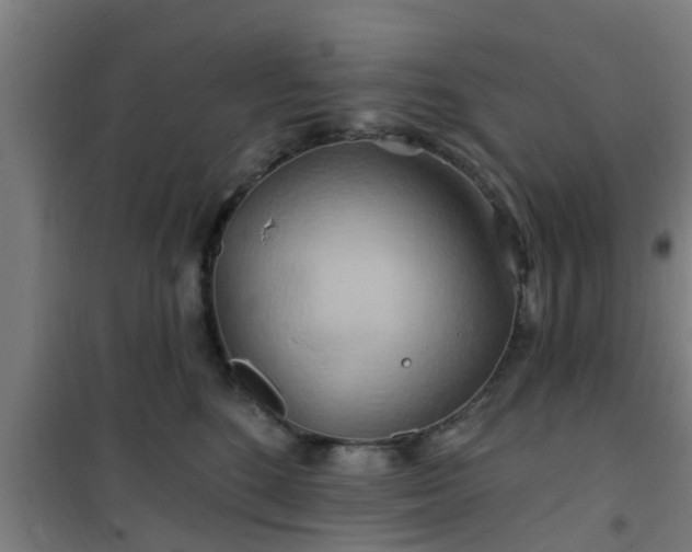 X0000101090520200807031729