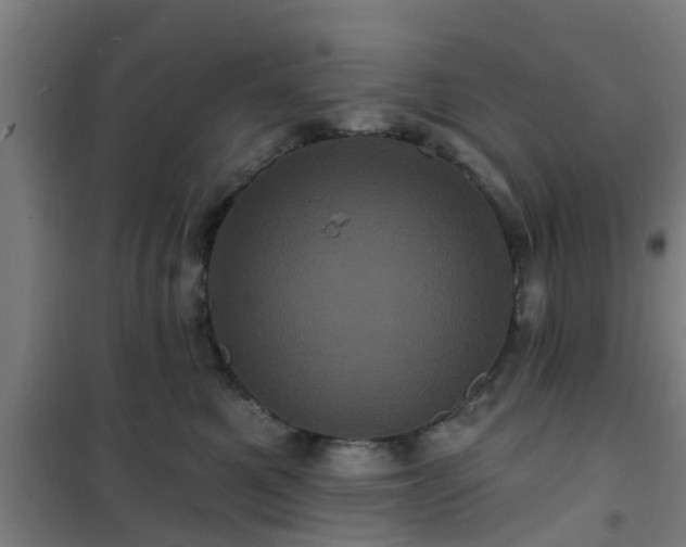 X0000101090521200807031729