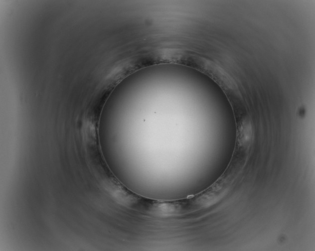 X0000101090522200807031729