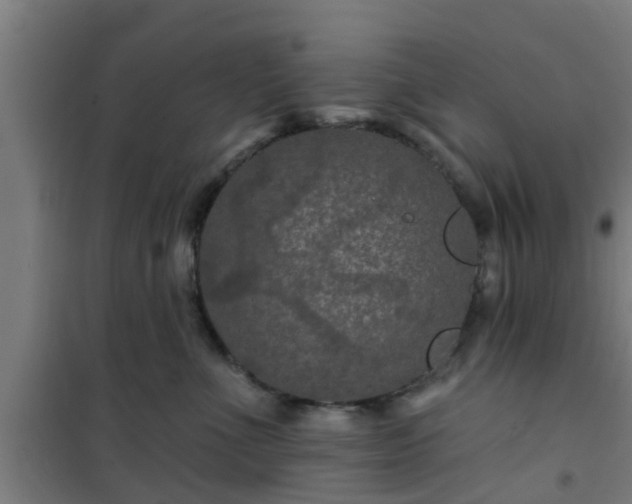 X0000101090523200807031729