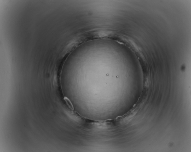 X0000101090524200807031729